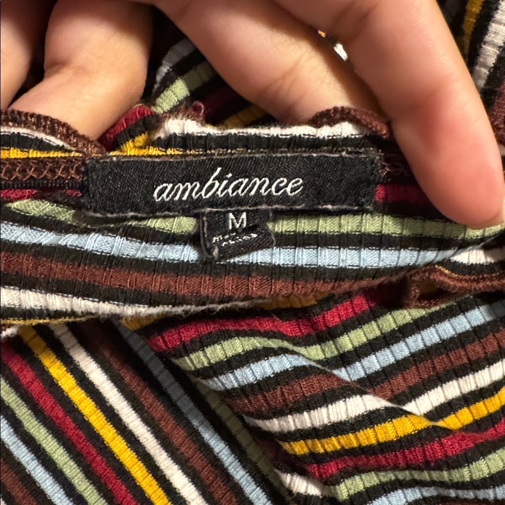 Ambiance Multicolor Striped Crop Top - Picture 3 of 3